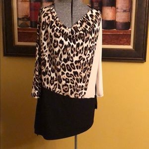 Chico’s Long Sleeve Blouse